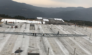 蹇家坪养殖基地53000平方钢结构总包