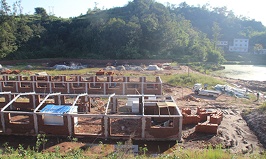 梁平蜀达饲料种猪养殖基地