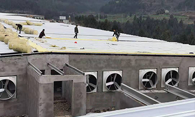 新希望养殖基地20242平方钢结构总包